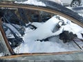 Photo 5 of 19 — 2021 Honda Civic