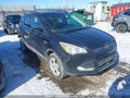 Photo 14 of 17 — 2014 Ford Escape