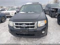 Photo 12 of 17 — 2010 Ford Escape