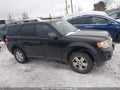 Photo 13 of 17 — 2010 Ford Escape