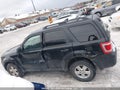 Photo 14 of 17 — 2010 Ford Escape