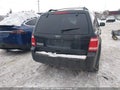 Photo 16 of 17 — 2010 Ford Escape