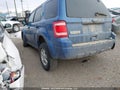 Photo 3 of 18 — 2010 Ford Escape