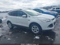 Photo 13 of 16 — 2014 Ford Escape
