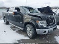 Photo 1 of 15 — 2013 Ford F-150 Lightning