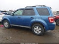 Photo 14 of 18 — 2009 Ford Escape