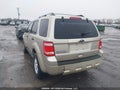 Photo 3 of 18 — 2010 Ford Escape