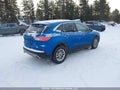 Photo 4 of 16 — 2020 Ford Escape