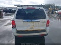 Photo 16 of 17 — 2011 Mazda Tribute