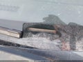 Photo 19 of 19 — 2008 Nissan Versa