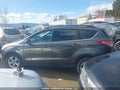 Photo 14 of 16 — 2016 Ford Escape