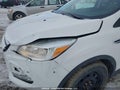Photo 12 of 23 — 2015 Ford Escape