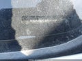 Photo 19 of 19 — 2013 BMW 3 Series