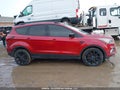 Photo 13 of 16 — 2019 Ford Escape