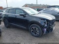 Photo 13 of 16 — 2024 Kia Sportage