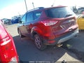 Photo 14 of 18 — 2014 Ford Escape