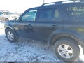 Photo 14 of 18 — 2011 Ford Escape