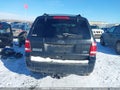Photo 16 of 18 — 2011 Ford Escape