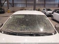 Photo 17 of 21 — 2013 Volkswagen Jetta