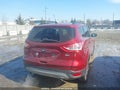 Photo 4 of 16 — 2014 Ford Escape