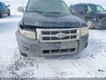 Photo 6 of 16 — 2008 Ford Escape