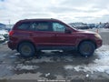 Photo 13 of 19 — 2009 Hyundai Santa Fe