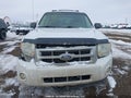 Photo 12 of 22 — 2010 Ford Escape