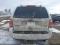 Photo 16 of 22 — 2010 Ford Escape
