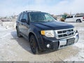 Photo 1 of 16 — 2008 Ford Escape Hybrid