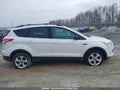 Photo 14 of 20 — 2013 Ford Escape