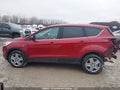 Photo 15 of 18 — 2018 Ford Escape