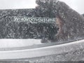 Photo 20 of 20 — 2017 Volvo S60