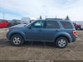 Photo 15 of 19 — 2011 Ford Escape