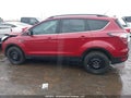 Photo 14 of 18 — 2017 Ford Escape