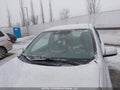 Photo 17 of 19 — 2015 Nissan Micra