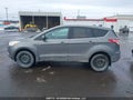Photo 14 of 19 — 2014 Ford Escape