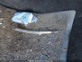 Photo 12 of 20 — 2006 Chevrolet Impala