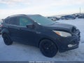 Photo 13 of 16 — 2014 Ford Escape