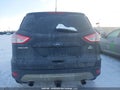 Photo 16 of 16 — 2014 Ford Escape