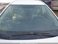 Photo 18 of 20 — 2014 Toyota Corolla