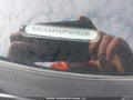 Photo 19 of 19 — 2023 Audi A4