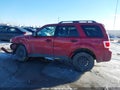 Photo 14 of 16 — 2010 Ford Escape