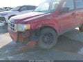 Photo 6 of 16 — 2010 Ford Escape