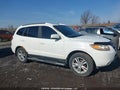 Photo 13 of 16 — 2008 Hyundai Santa Fe