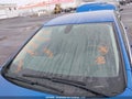 Photo 18 of 21 — 2016 Chevrolet Cruze
