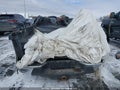 Photo 16 of 19 — 2008 GMC Canyon