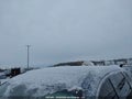 Photo 20 of 21 — 2017 Infiniti QX60