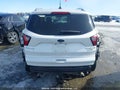 Photo 17 of 19 — 2019 Ford Escape
