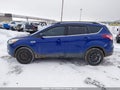 Photo 15 of 20 — 2016 Ford Escape