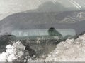 Photo 9 of 20 — 2022 Tesla Model 3